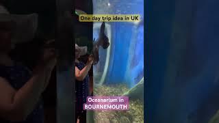 #shorts|OCEANARIUM IN BOURNEMOUTH |A wonderful fish world bournemouth  പോകുന്നവർ ഒന്ന് കേറി നോക്ക്