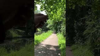 Leeds and Liverpool Canal