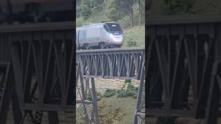 The Acela Amtrak High Speed train crosses the Iron bridge #model #acela #amtrak #train #iron #fun