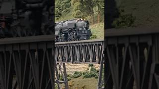 The Big Boy 4019 pulls the overland over the iron bridge #model #fun #railroad #train #texas #hobby