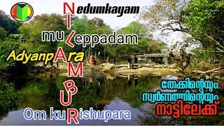 Nedumkayam |Adyanpara |Om kurishupara| Muleppadam |Nilambur|Dawson |Land of Teaks|നിലമ്പൂർ കാഴ്ചകൾ