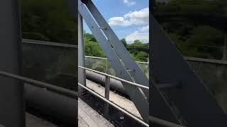 First Iron Bridge In The Caribbean 1801 Old Iron Bridge Spanish Town Jamaica #shorts