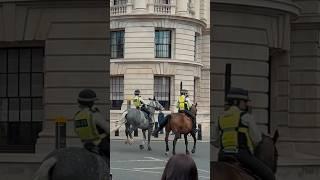 POLICE HORSE ACTS UP | Horse Guards, Royal guard, Kings Guard, Horse, London, 2024