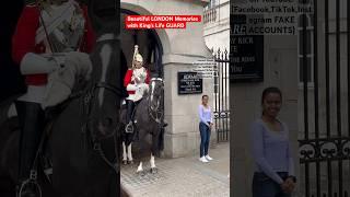 Beautiful LONDON Memories with King’s Life GUARD #kingsguard #horse #horseguards #horseguardsparade