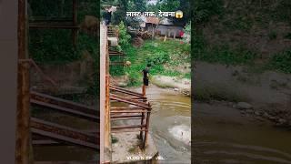 Incredible Footage Of Jumping From Iron Bridge Into The River????????️ #shorts #viralshorts #youtube