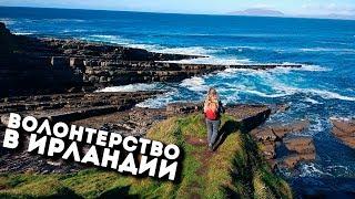 Волонтерство в Ирландии, Белфаст, Workaway