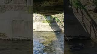 Rhymney River from under the iron bridge.