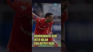 Bournemouth sign Inter Milan goalkeeper Radu