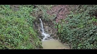 Spout Waterfall, Bottom of Benthall Edge, Ironbridge, Telford 11/12/23