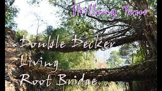 Double decker living root bridge/MEGHALAYA/CHHERRAPUNJEE /ROOT BRIDGE TREK/দোতলা রুট ব্রীজ ট্রেক