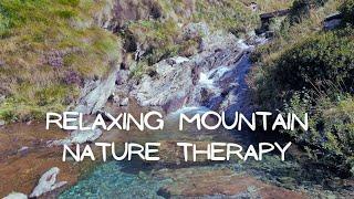 Relaxing Mountain Stream Sounds - 30 Minutes of Nature Therapy