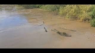 River Severn, Nr Ironbridge, Telford 21/10/23