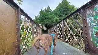 The iron bridge