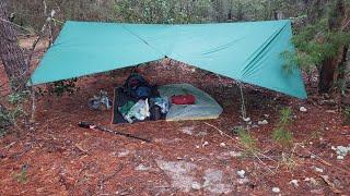 Florida Trail 88-store to Mike Roess 2/12/2021 Day 4 - Early Swamp Wading on longest day