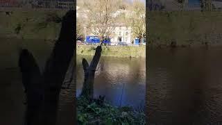 Matlock Bath Virtual Walk #virtualwalkingtour #virtualwalk #virtualwalkinguk #matlockbath #shorts