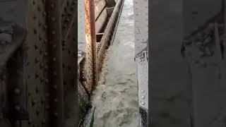 Delhi flood ???? old iron bridge #viral #youtubeshorts #viralshort #delhiflood #yamunariver #flood