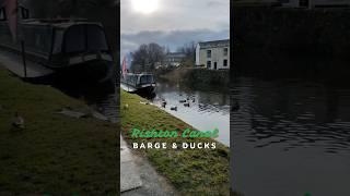 Leeds Liverpool Canal at Rishton, Blackburn - Barge + Ducks