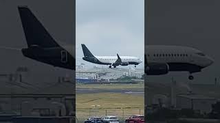 Boeing 737 in Belfast #boeing737 #belfast #landing #viral #shorts #aviation #subscribe #airlines