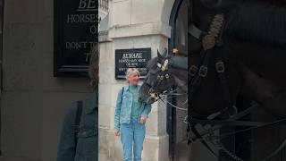 HORSE WANTS HER JACKET | Horse Guards, Royal guard, Kings Guard, Horse, London, 2024