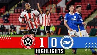 Sheffield United 1-0 Brighton & Hove Albion | Premier League Highlights | McGoldrick downs Seagulls