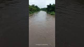 Unbelievable Flood Water Devours Our Village River ❤️ - Witness the Mighty Iron Bridge #shorts