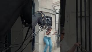 SHE SLAMS INTO WALL!⚠️ | Horse Guards, Royal guard, Kings Guard, Horse, London, 2024