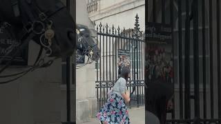 HORSE SENDS HER RUNNING! | Horse Guards, Royal guard, Kings Guard, Horse, London, 2024