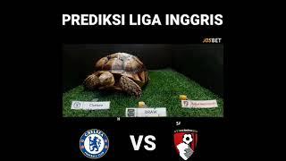 Prediksi  Bournemouth vs  Chelsea | Premier League 2022/2023 | Turtle Prediction #premierleague