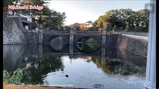 #tokyo #nijubashibridge #ironbridge #japan #shortsvideo #shortsfeed #shorts #ytshorts  #yt