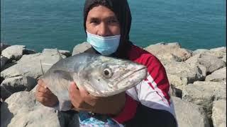 How to catch king fish using jig lure