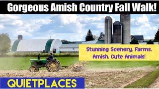 Amish Country Super Scenic Fall Walk! Farms, Amish, Beautiful Scenery & Adorable Animals!