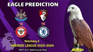 Newcastle vs Brentford | Bournemouth vs Chelsea | Premier League 2023/24 | Eagle Prediction