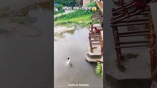 Unbelievable River Jump from Iron Bridge - A Thrilling Plunge! ????????️ #jump #short #shorts