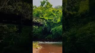 #Maredumilli Iron bridge # Telugu Wild Life Travel