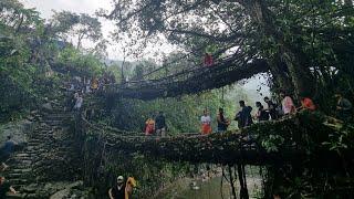 #Double drecker root bridge# Blue lagoon# single root bridge# Rainbow fall#  Iron bridge# Meghyala