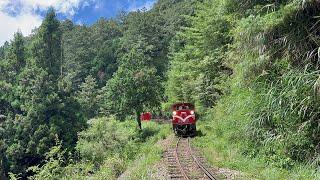 【Alishan Forest Railway】 Cargo Train on The Chushan Line｜祝山線貨物列車