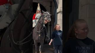 HORSE SAYS NO TOUCHING | Horse Guards, Royal guard, Kings Guard, Horse, London, 2024