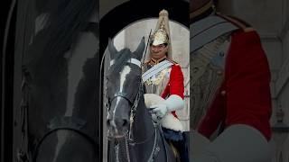 HORSE MAKES GUARD SMILE | Horse Guards, Royal guard, Kings Guard, Horse, London, 2024