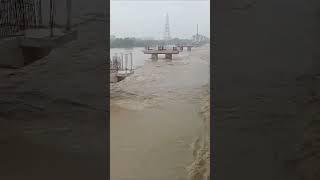 Old Iron bridge Delhi Flood..............#delhi #flood #ironbridge #rain #delhitraffic