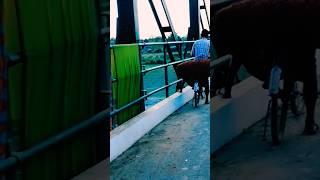 Iron Bridge in our area ????????#spvlogs #Reels#2023 #trending #like #beautiful