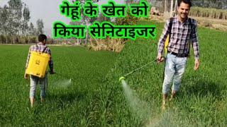 गेहूं के खेत को सेनिटाइजर किया Farm Sanitie