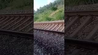 #wap7 passeing iron bridge in High Speed with 19325 Indore Amritsar #shorts