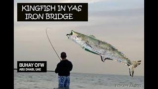 WEEKEND FISHING | KINGFISH IN YAS IRON BRIDGE