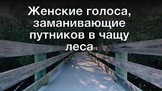 Женские голоса, заманивающие путников в чащу леса