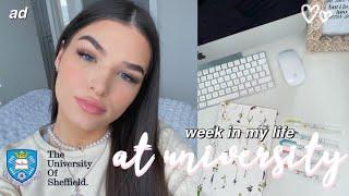 week in my life at the university of sheffield (ad with Skillshare)