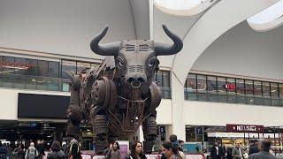 The Bull at New St. Station Birmingham