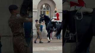 HORSE REFUSE BOX AGAIN | Horse Guards, Royal guard, Kings Guard, Horse, London, 2024