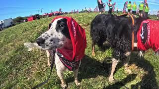 UK Running Event New Forest 10km Run