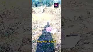 Vlog with Sajjad#shorts videos