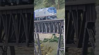 Amtrak pulls the American Orient Express over the iron bridge #model #railway #amtrak #fun #express